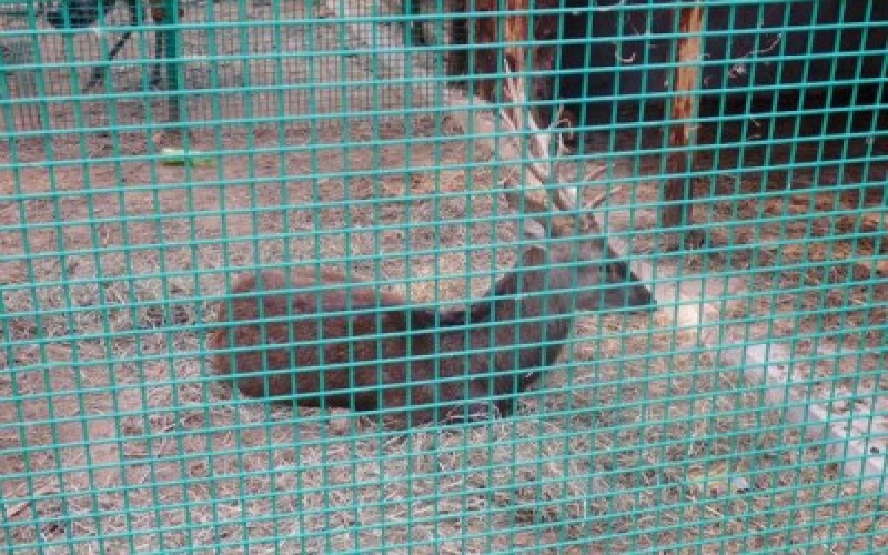 養殖網片